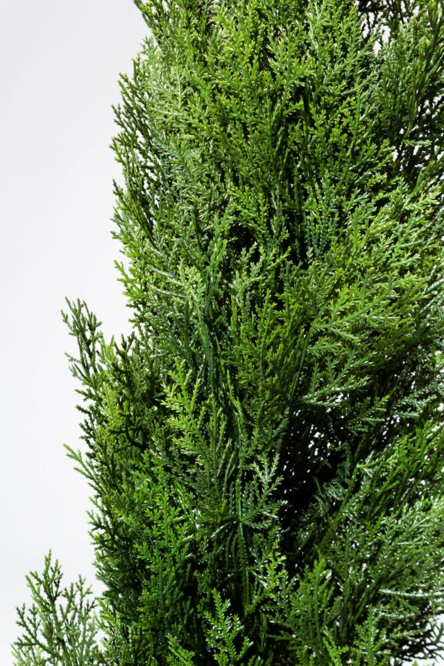 FP003 5’ Faux Cedar Pine Bush Prop Rental - ACME Brooklyn