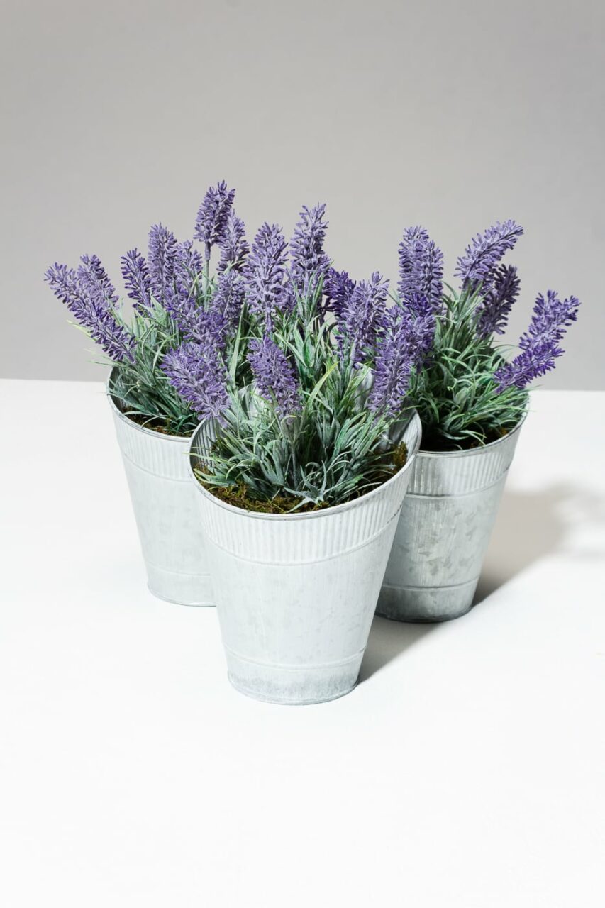 Fp016 Rosemarie Faux Potted Lavender Plant Prop Rental Acme Brooklyn