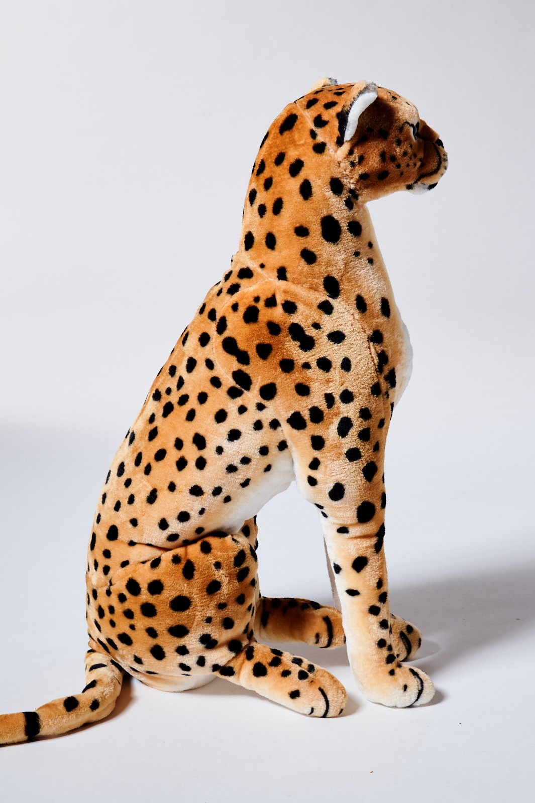 TA648 Kiki Stuffed Cheetah Prop Rental - ACME Brooklyn