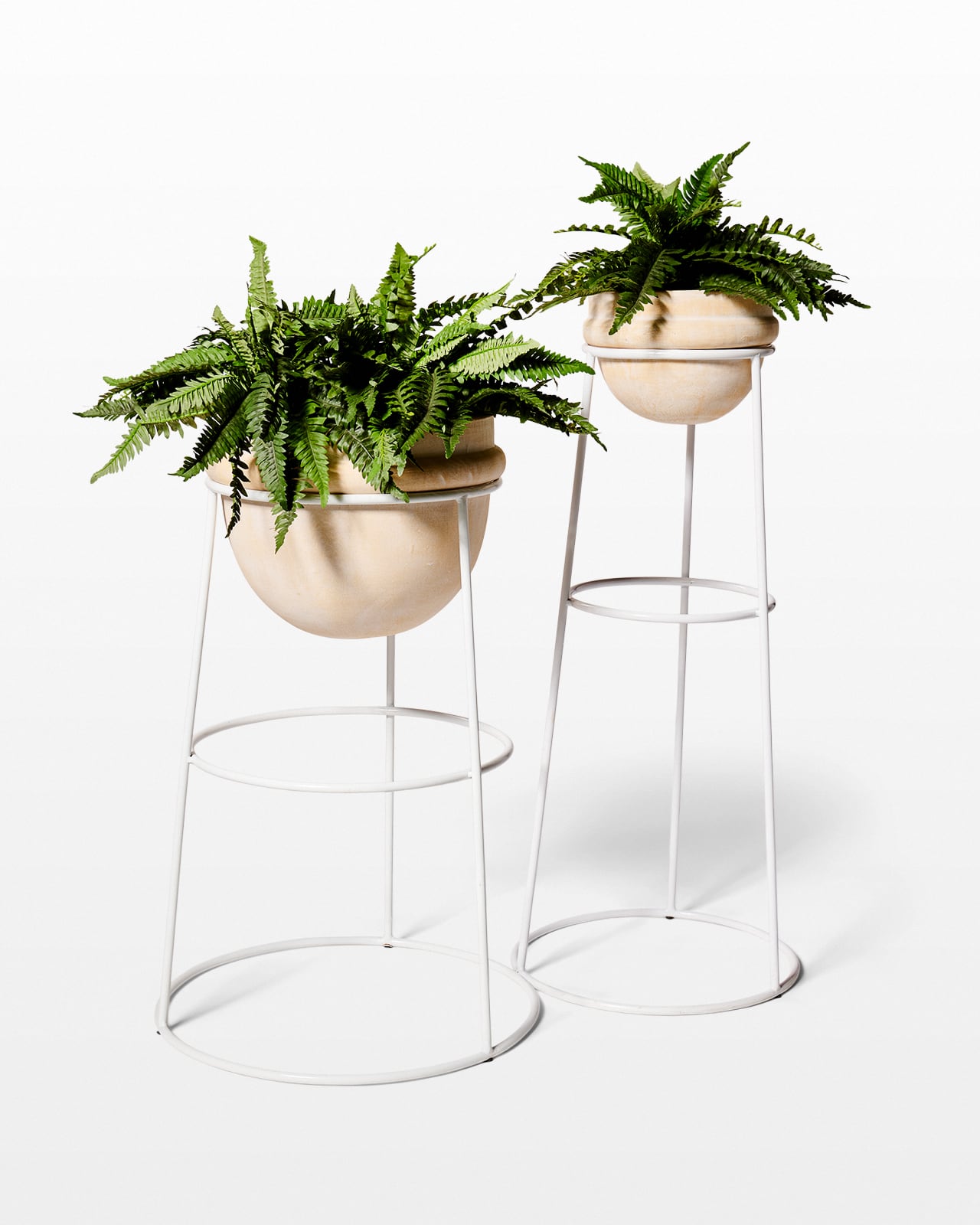 FP004-S Paz Planters and Plants Set Prop Rental - ACME Brooklyn