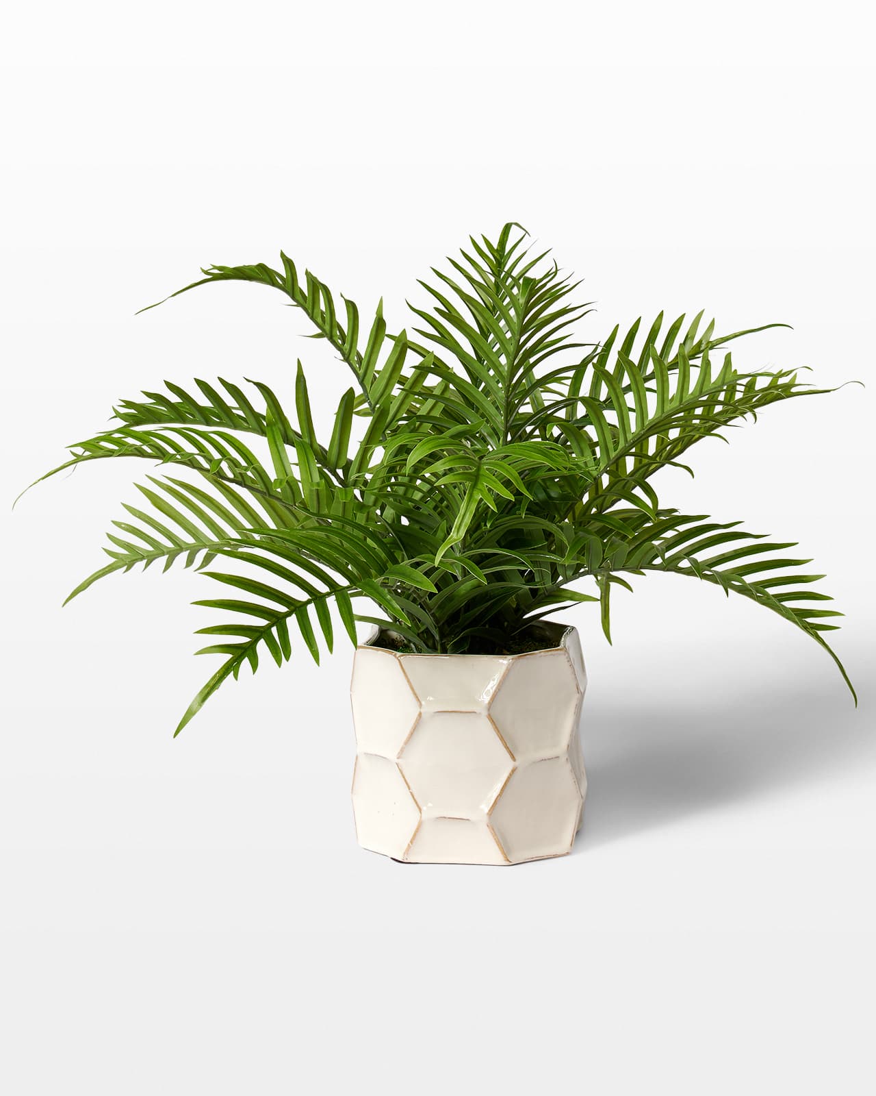 FP109 Ashe Potted Faux Fern Plant Prop Rental - ACME Brooklyn